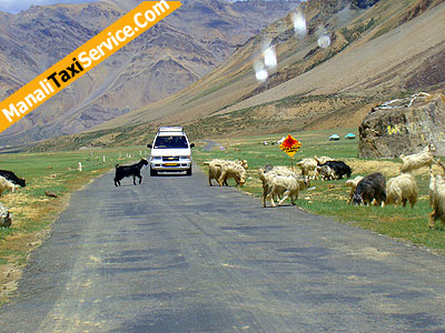 sarchu camp site , manali to sarchi distance